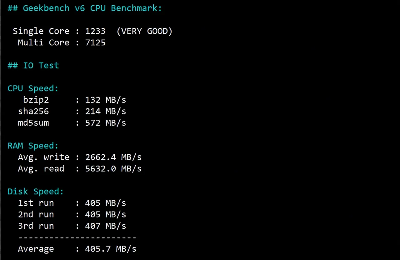 #Dynamic Update#: Detailed Review of RakSmart Silicon Valley Data Center "Mainland Optimization VIP" Route - Image 9