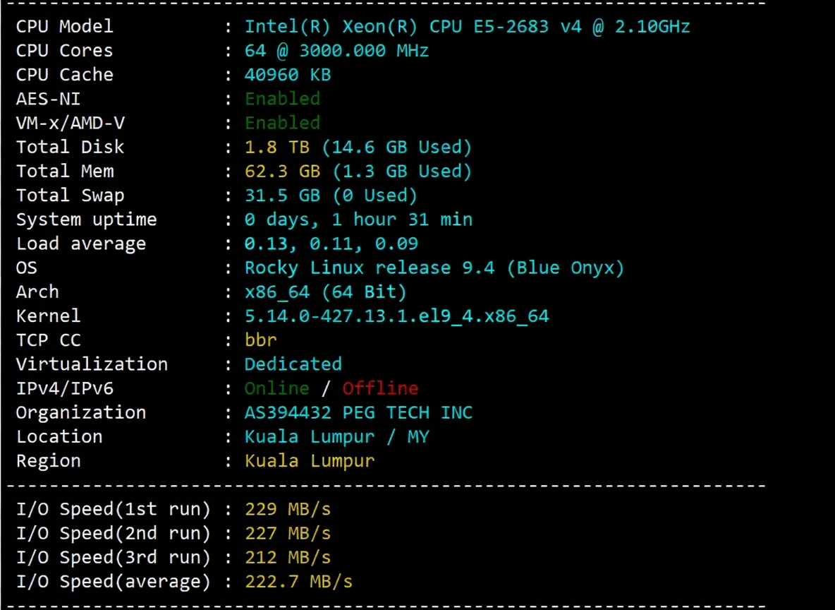 How is RakSmart? Detailed Review of Malaysia International BGP Route Server - Image 2