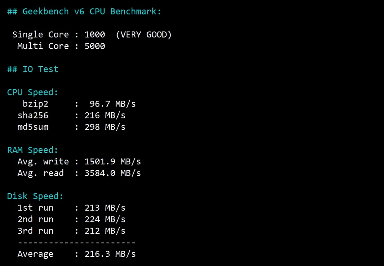 How is RakSmart? Detailed Review of Malaysia International BGP Route Server - Image 9