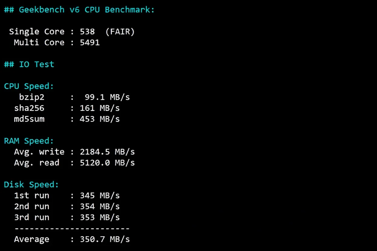 Detailed Review of RakSmart Seattle USA Data Center Mainland China Optimized VIP Route Server - Image 9