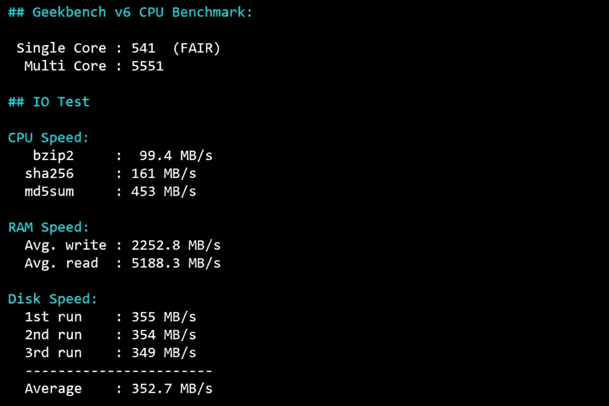 Detailed Review of RakSmart Seattle China Optimized CN2 Server - Image 9