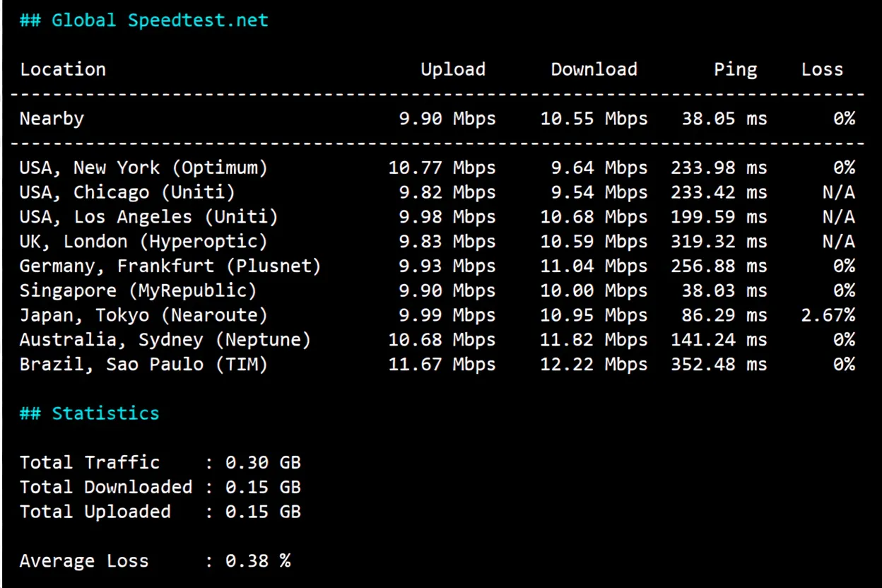 Raksmart Singapore Premium CN2/Enterprise CN2 Review: 24/7 High-Speed Connectivity Across Three Networks - Image 4