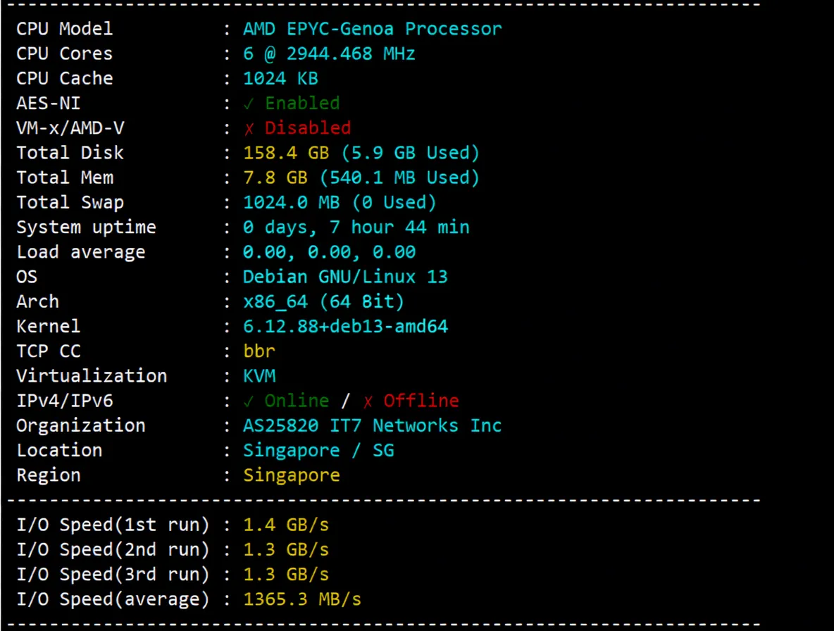 BandwagonHost Singapore VPS (SG_8) Review: Triple-Network 24/7 High-Speed CTG/CN2 China-Bound Route - Image 2