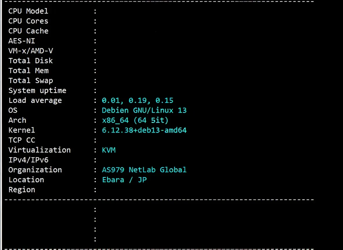 zgovps Japan "Tokyo Intel VPS" Review: High-Speed Direct Connection with Excellent Streaming Unlock Performance