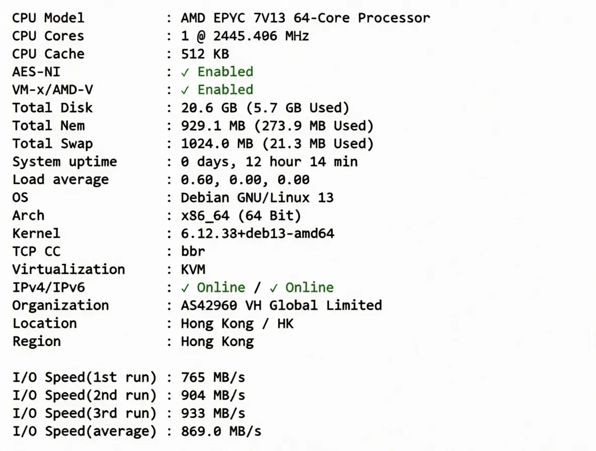 NoSLA Hong Kong Standard Optimized VPS Review: Native IP, CMI Network, Ideal for China Mobile Users - Image 2