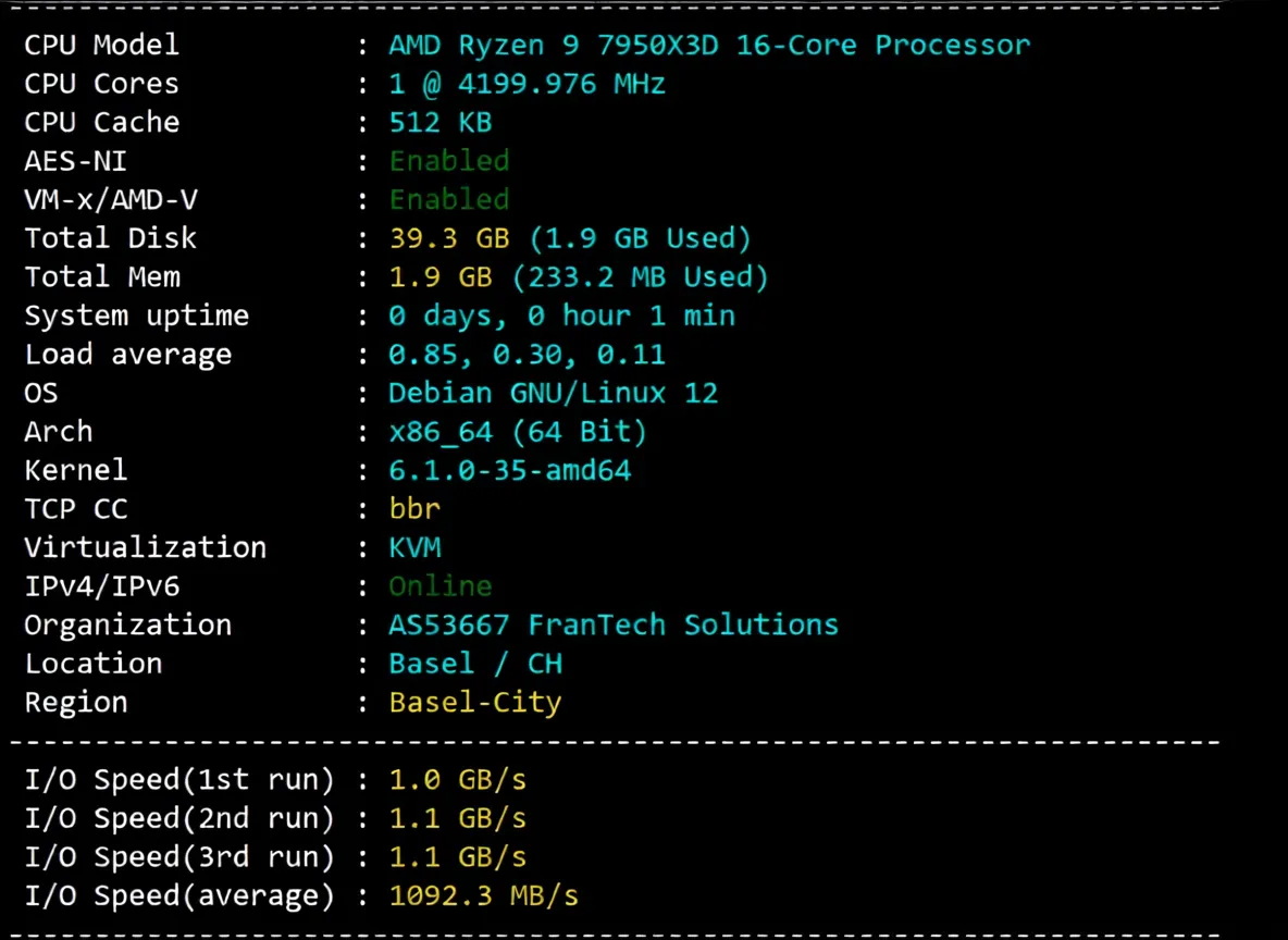 BuyVM Switzerland VPS Detailed Review: Performance Beast with Unlimited Traffic - Image 2