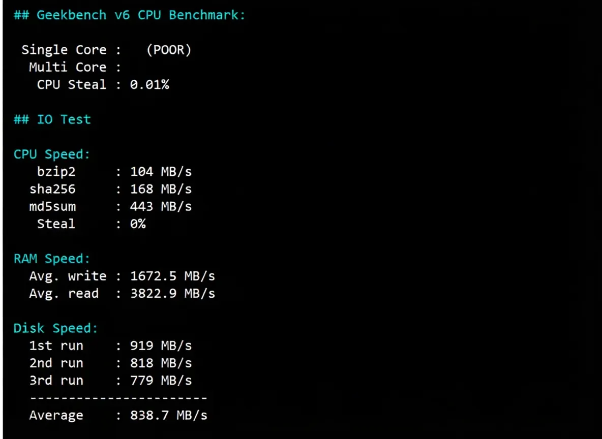 tmhhost US 9929 Dual ISP VPS Review: High-Speed Return to China, Unlocks TikTok/ChatGPT and More - Image 9