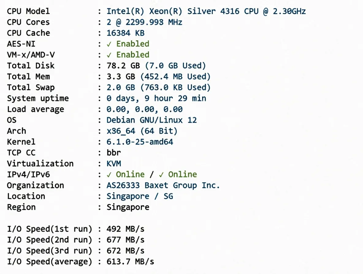 JustHost Singapore VPS Review - SIN2 Data Center, Unlocks TikTok/ChatGPT and More, Especially Suitable for Mobile Users - Image 2