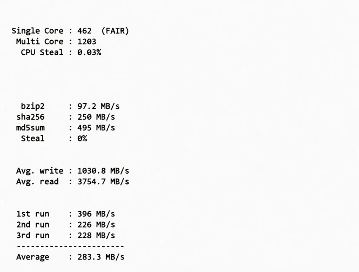 RackNerd Seattle USA VPS Review: Native IP Unlocks TikTok/ChatGPT and More - Image 10