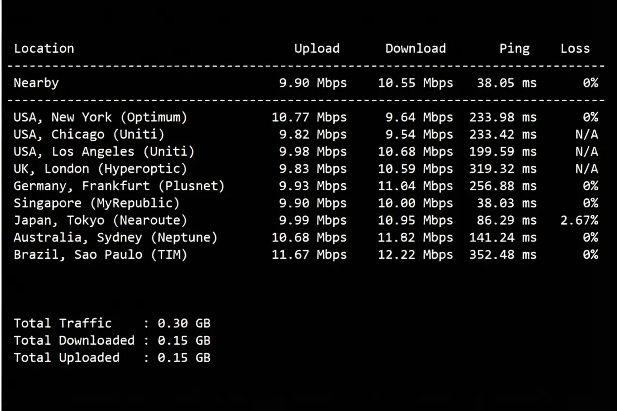 Raksmart Singapore Premium CN2/Enterprise CN2 Review: 24/7 High-Speed Connectivity Across Three Networks - Image 4