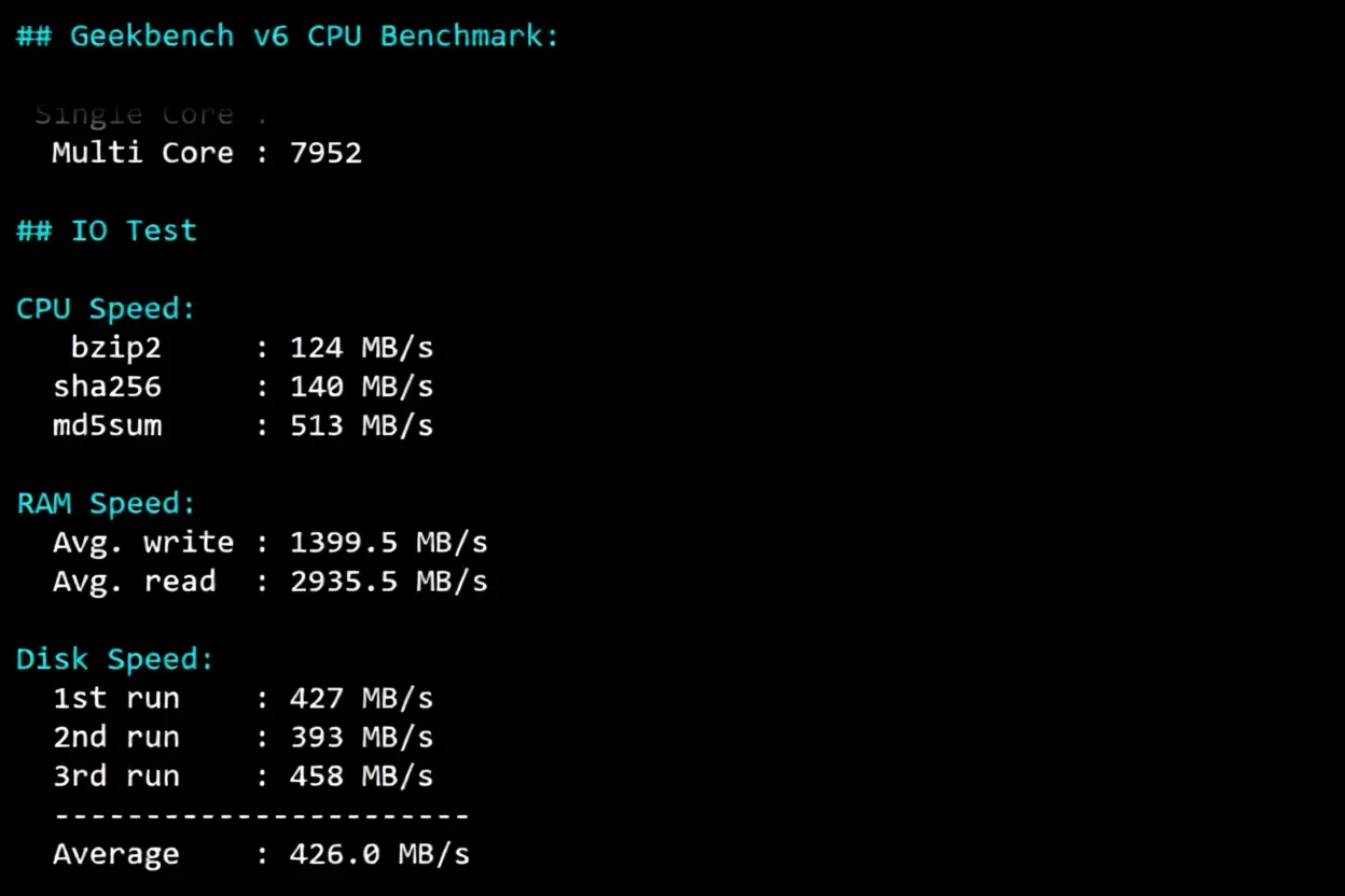 Detailed Review of RakSmart Germany Data Center "International BGP/Global BGP" Line Servers - Image 9