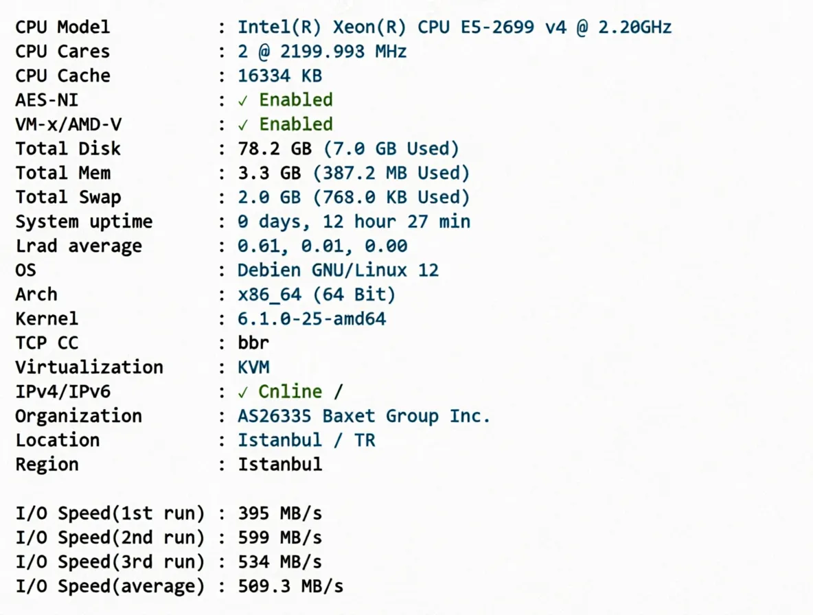 JustHost Turkey VPS (IST1 Datacenter) Review: TikTok/ChatGPT Unlocked, Relay Recommended - Image 2