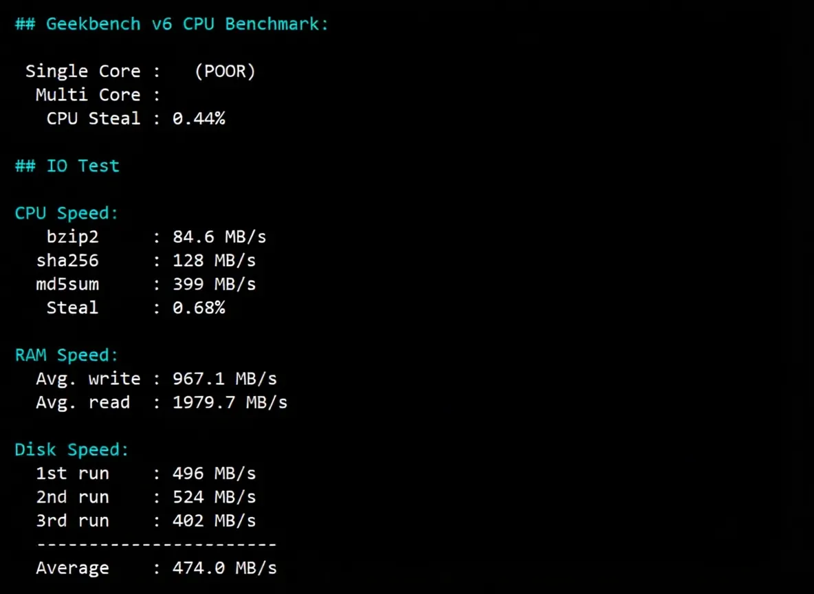JustHost Turkey VPS (IST1 Datacenter) Review: TikTok/ChatGPT Unlocked, Relay Recommended - Image 8