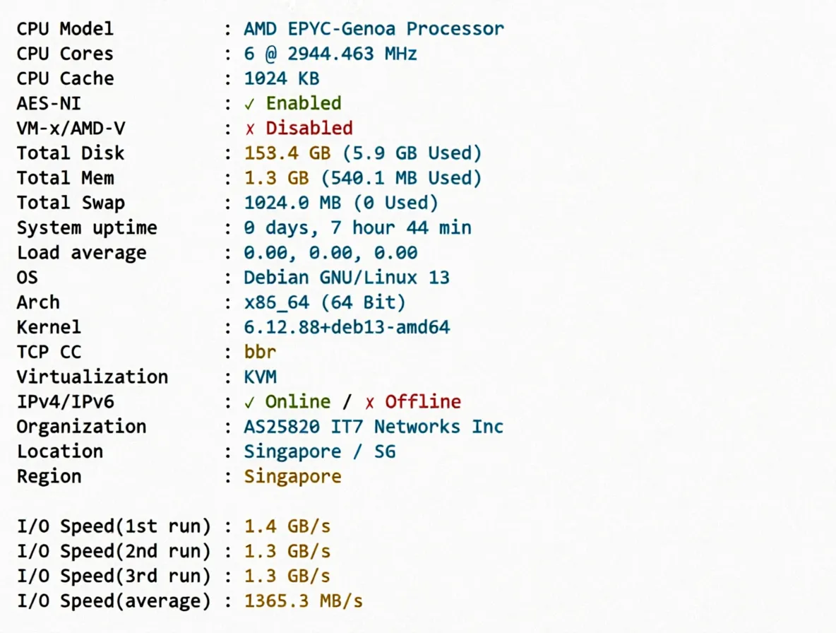 BandwagonHost Singapore VPS (SG_8) Review: Triple-Network 24/7 High-Speed CTG/CN2 China-Bound Route - Image 2