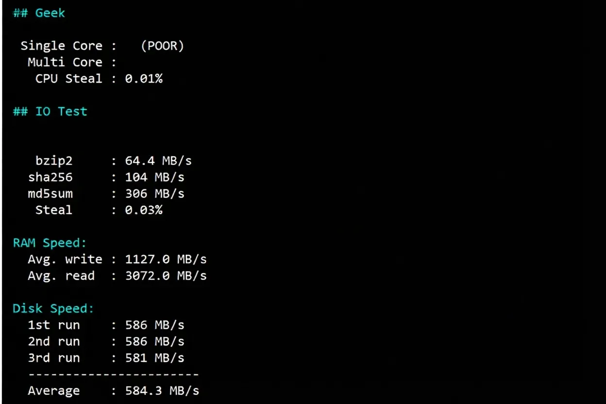 TMHHost US CN2 GIA VPS Review: Native IP Unlocks TikTok and More, 24/7 High-Speed Stability - Image 9