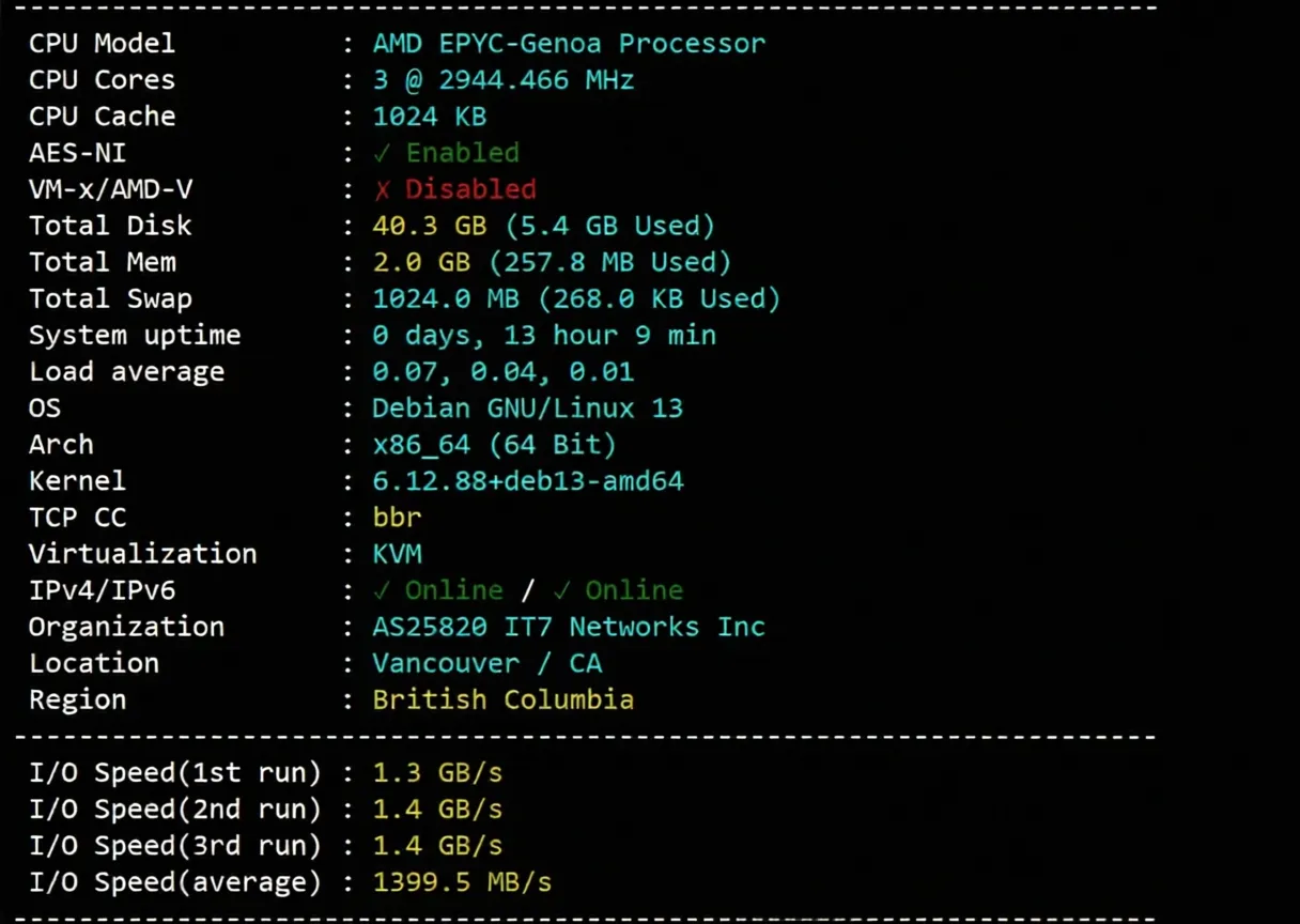 BandwagonHost Canada CABC_6 VPS Review: Native IP Unlocks TikTok, 24/7 High-Speed Performance Across All Three Networks - Image 3