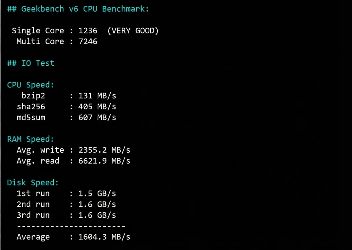 🟩Updated Version🟩 RakSmart USA Los Angeles Data Center "Mainland China Optimized VIP" Network Route Review - Image 9