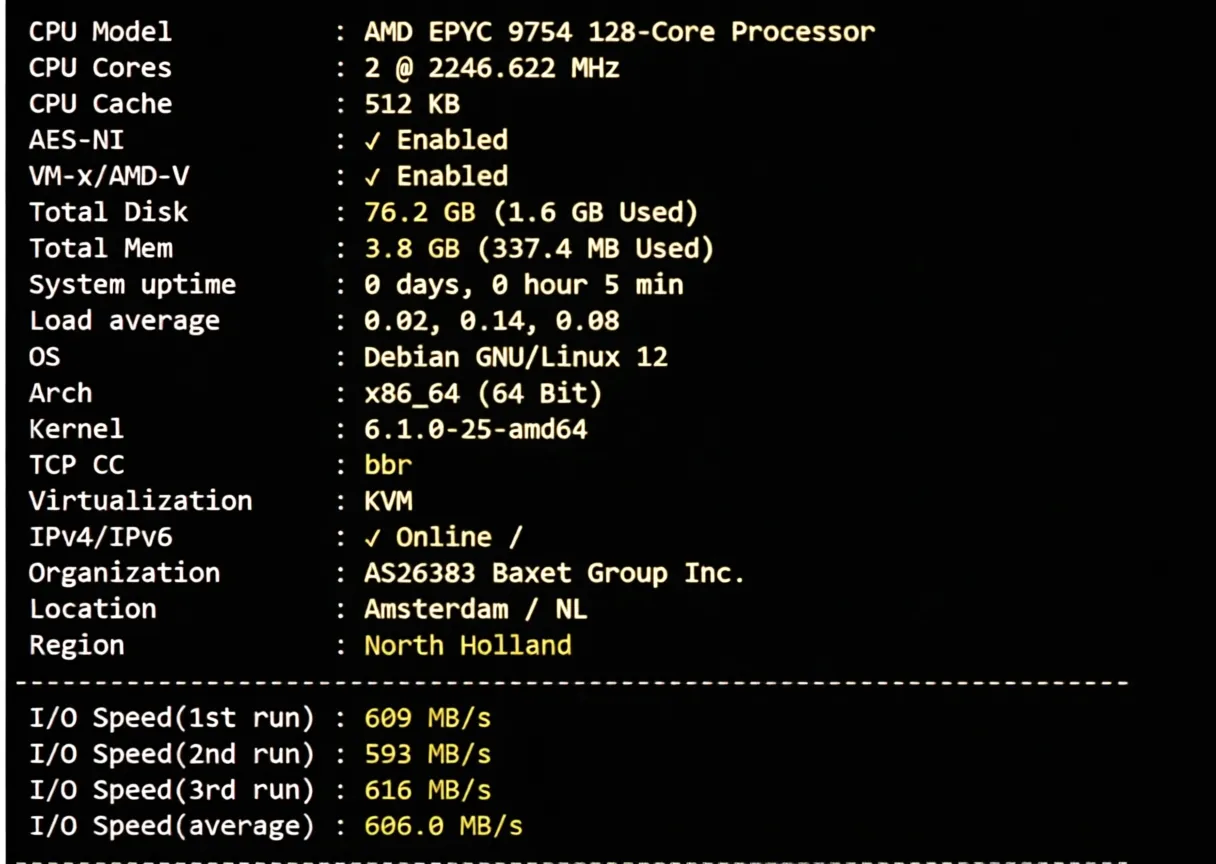JustHost Netherlands VPS (ams4 Datacenter) Review: High-Performance Configuration, Unblocks TikTok and Other Streaming Services - Image 2