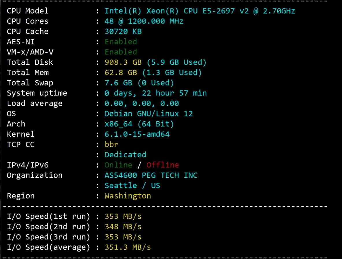 Detailed Review of RakSmart Seattle China Optimized CN2 Server - Image 2