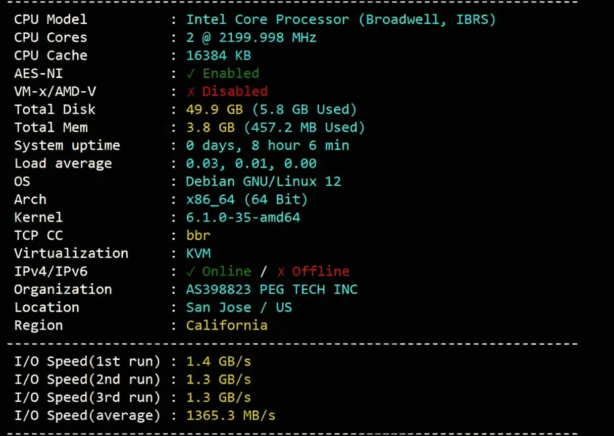 Raksmart US Los Angeles VPS (International BGP Route) Review: Native IP Unlocks TikTok/AI and More - Image 2