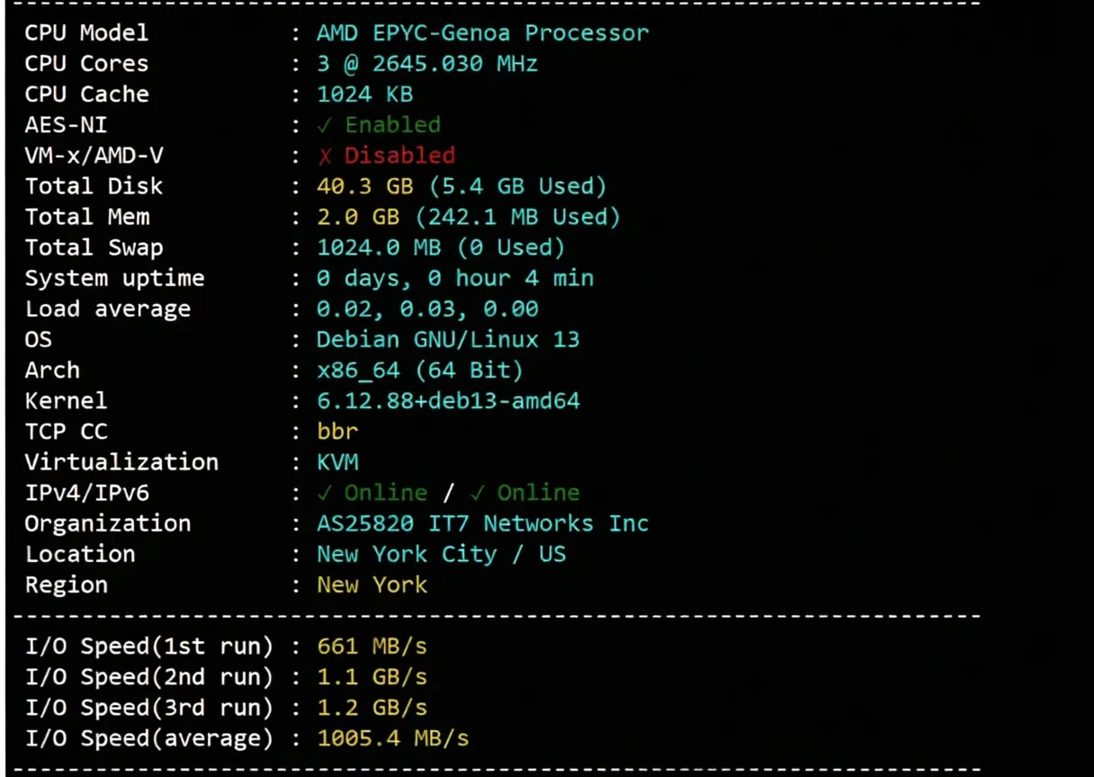 BandwagonHost US New York VPS (USNY_6) Review: Unblocks TikTok/AI, Ideal for China Unicom Users - Image 3