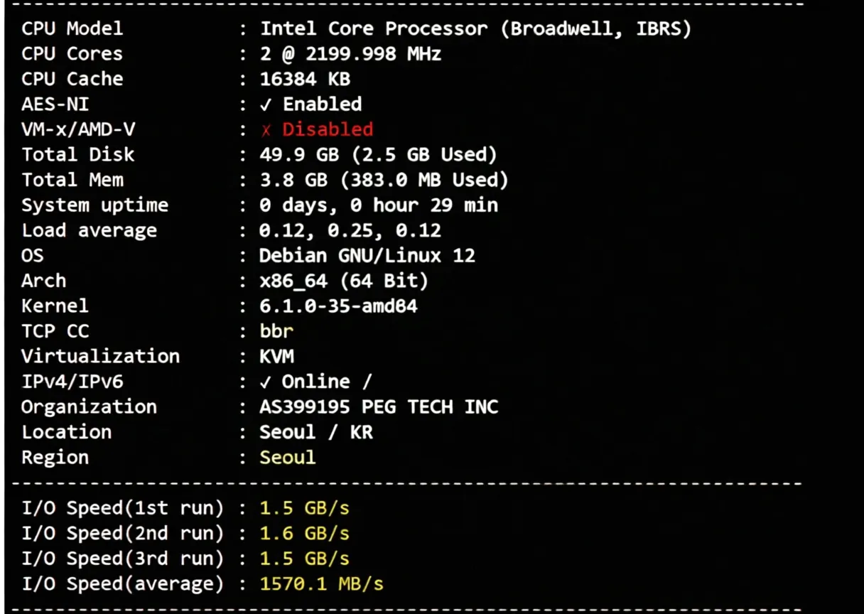 Raksmart South Korea Premium CN2/Enterprise CN2 VPS Review: TikTok Unblocked, Full-Speed Connection to China - Image 2