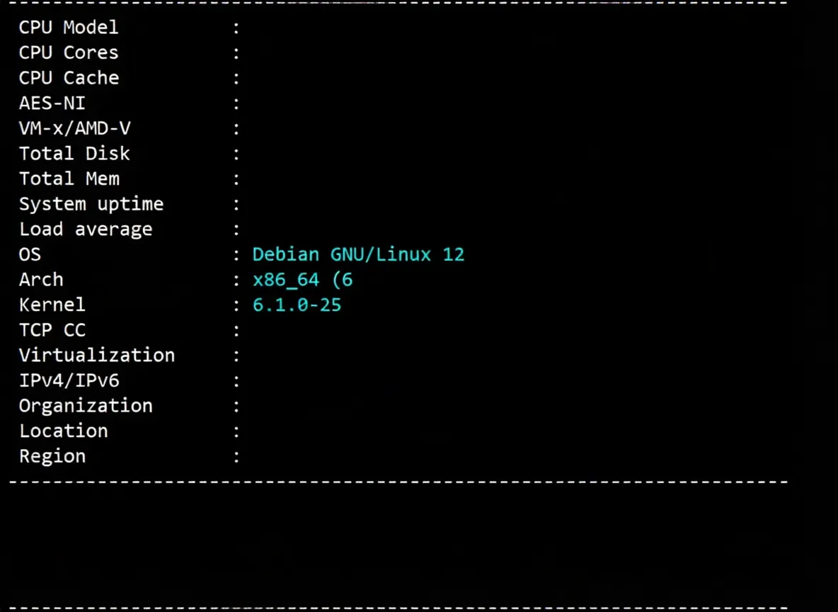 justhost Spain VPS (MAD1 Data Center) Review: Unlocks TikTok/ChatGPT and More - Image 2