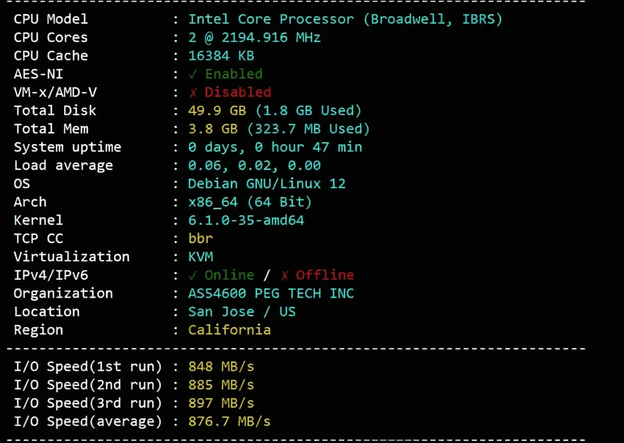 Raksmart US Seattle VPS (International BGP Line) Review: Native IP, Unlocks TikTok/AI, etc. - Image 2