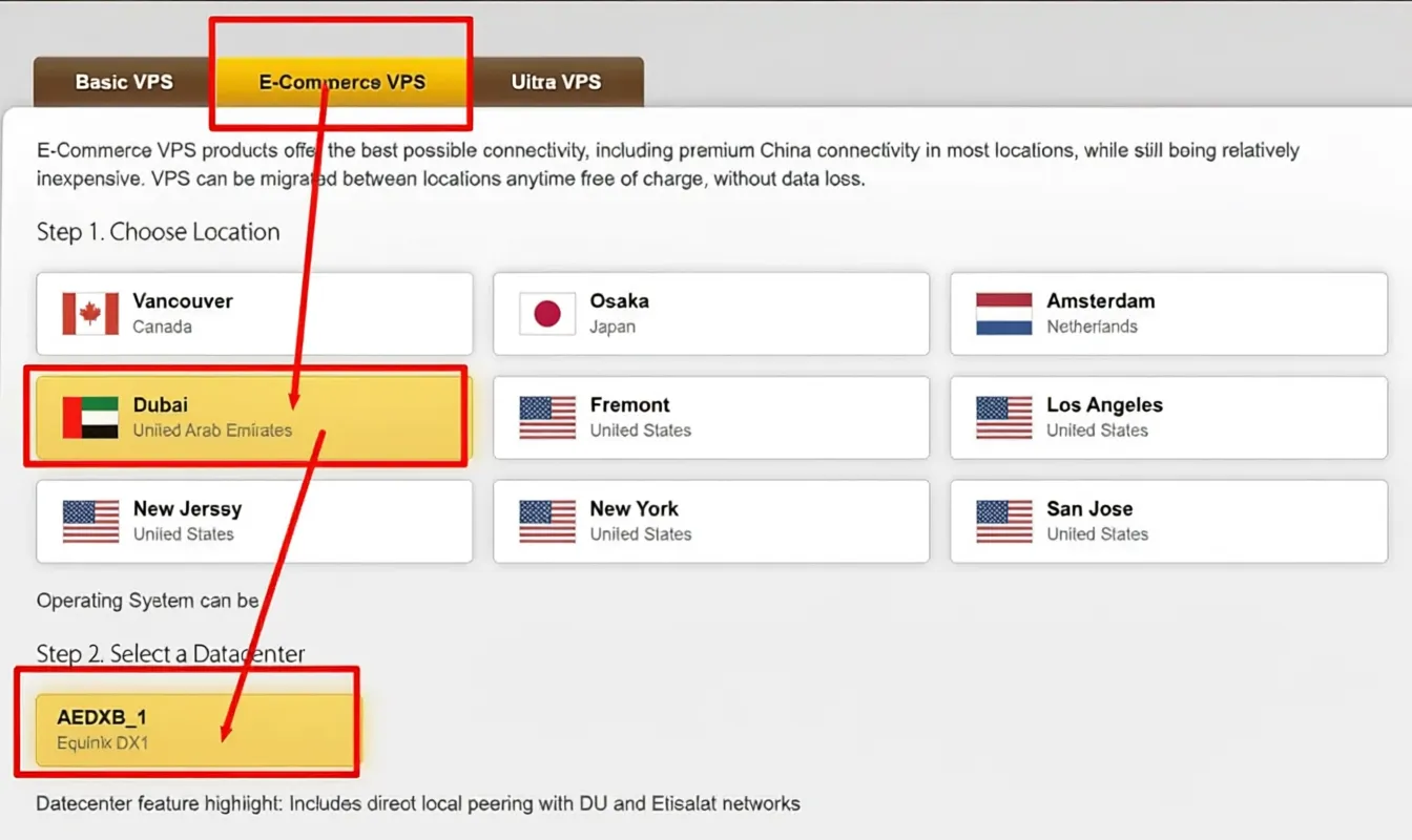BandwagonHost UAE Dubai VPS Review: Unlocks TikTok/AI, High Latency/Relay Recommended - Image 2