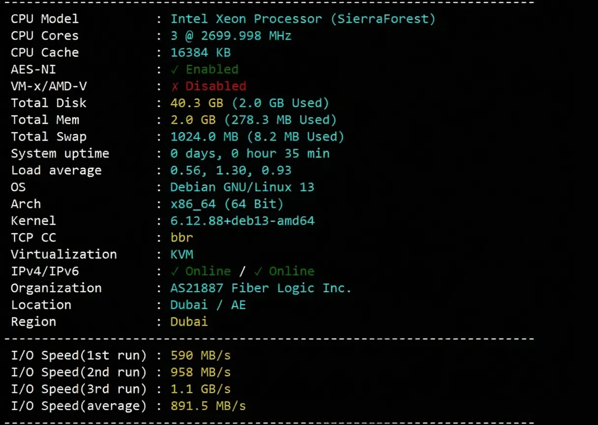 BandwagonHost UAE Dubai VPS Review: Unlocks TikTok/AI, High Latency/Relay Recommended - Image 3