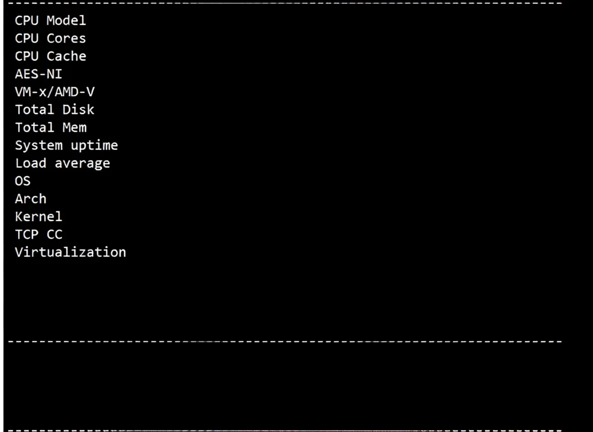 ElectricMang Cloud USA Premium Triple-Network Pure High-End Route VPS Review (Native IP Unlocks Streaming Media with Good Results) - Image 2