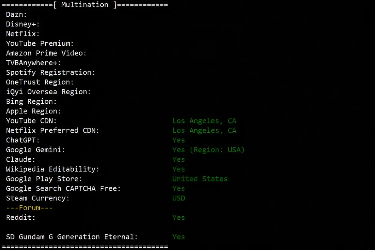dedione US Los Angeles Direct Connection VPS Review: Native IP Unlocks TikTok/ChatGPT and More - Image 7