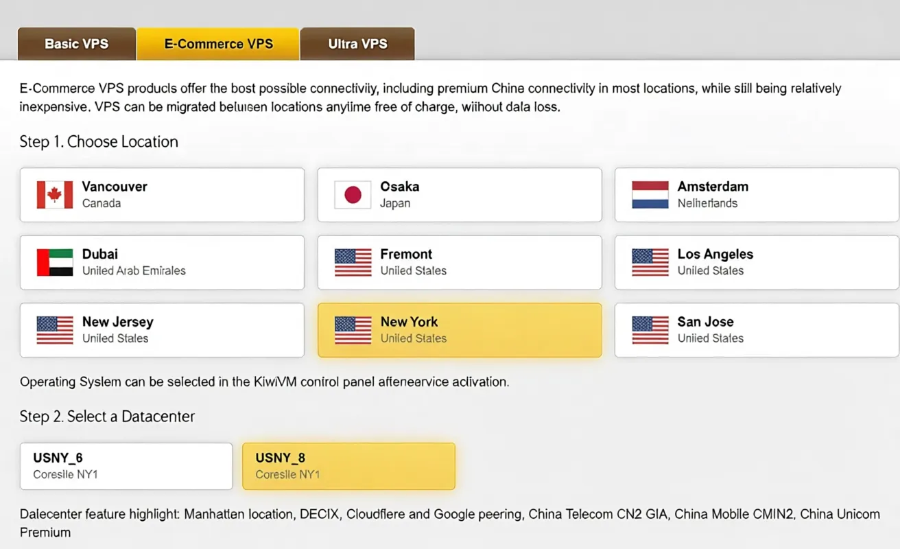 BandwagonHost New York USNY_8 VPS Review: Premium Network, Unlocks TikTok/ChatGPT & More - Image 2