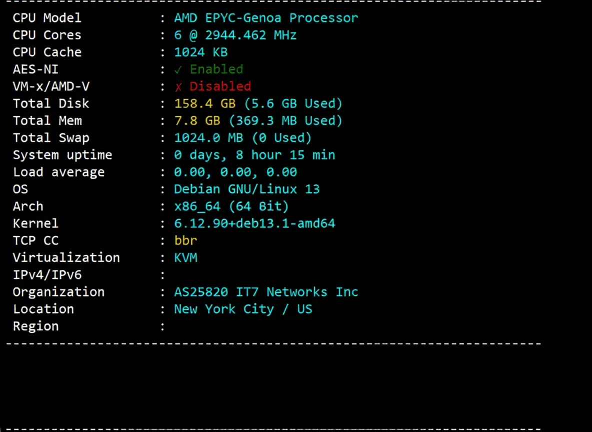 BandwagonHost New York USNY_8 VPS Review: Premium Network, Unlocks TikTok/ChatGPT & More - Image 3