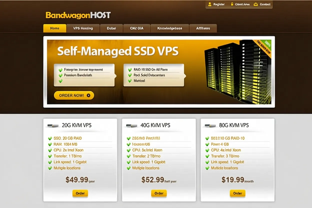 BandwagonHost New York USNY_8 VPS Review: Premium Network, Unlocks TikTok/ChatGPT & More - Image 1