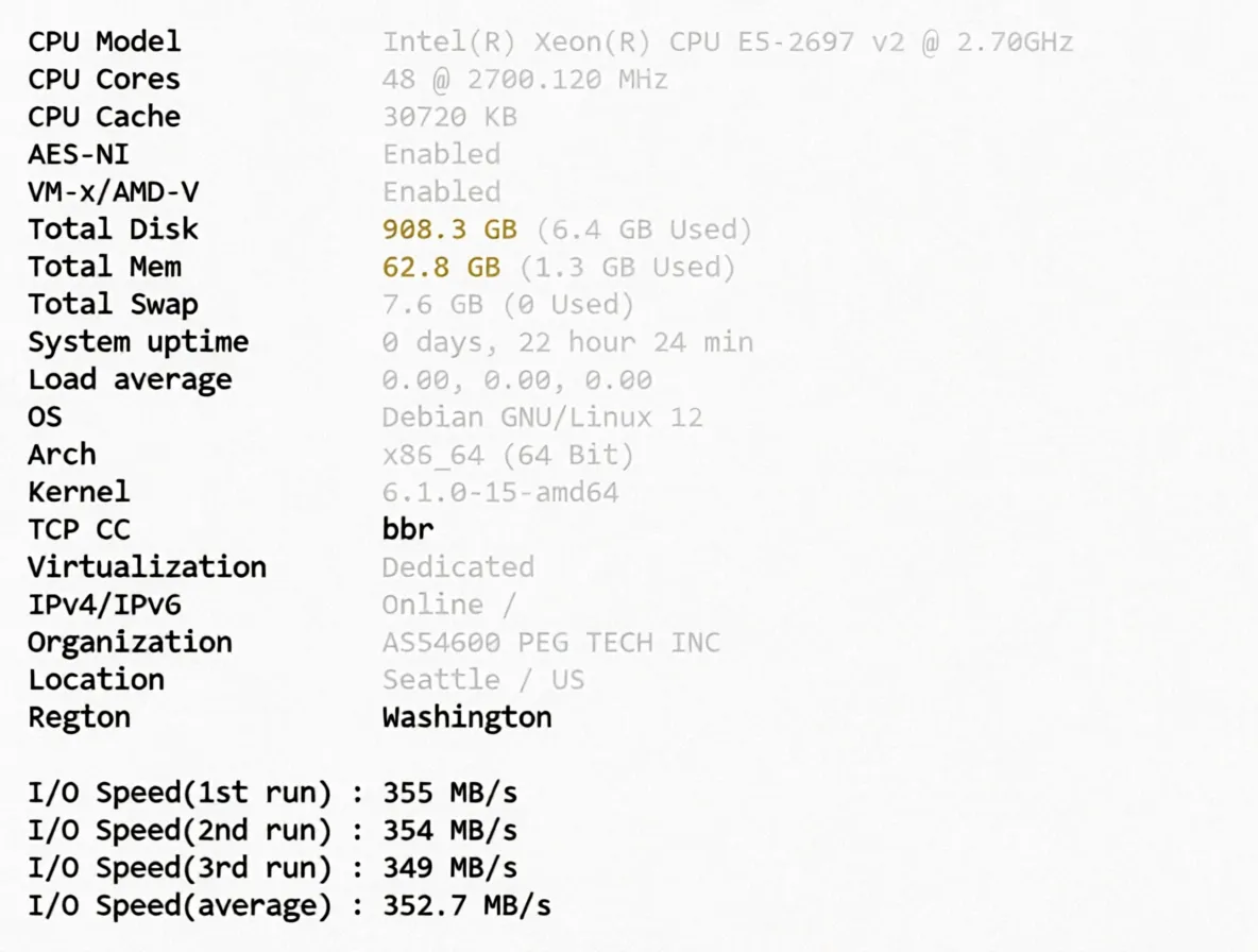 Detailed Review of RakSmart Seattle "China Optimized" Route Servers - Image 2