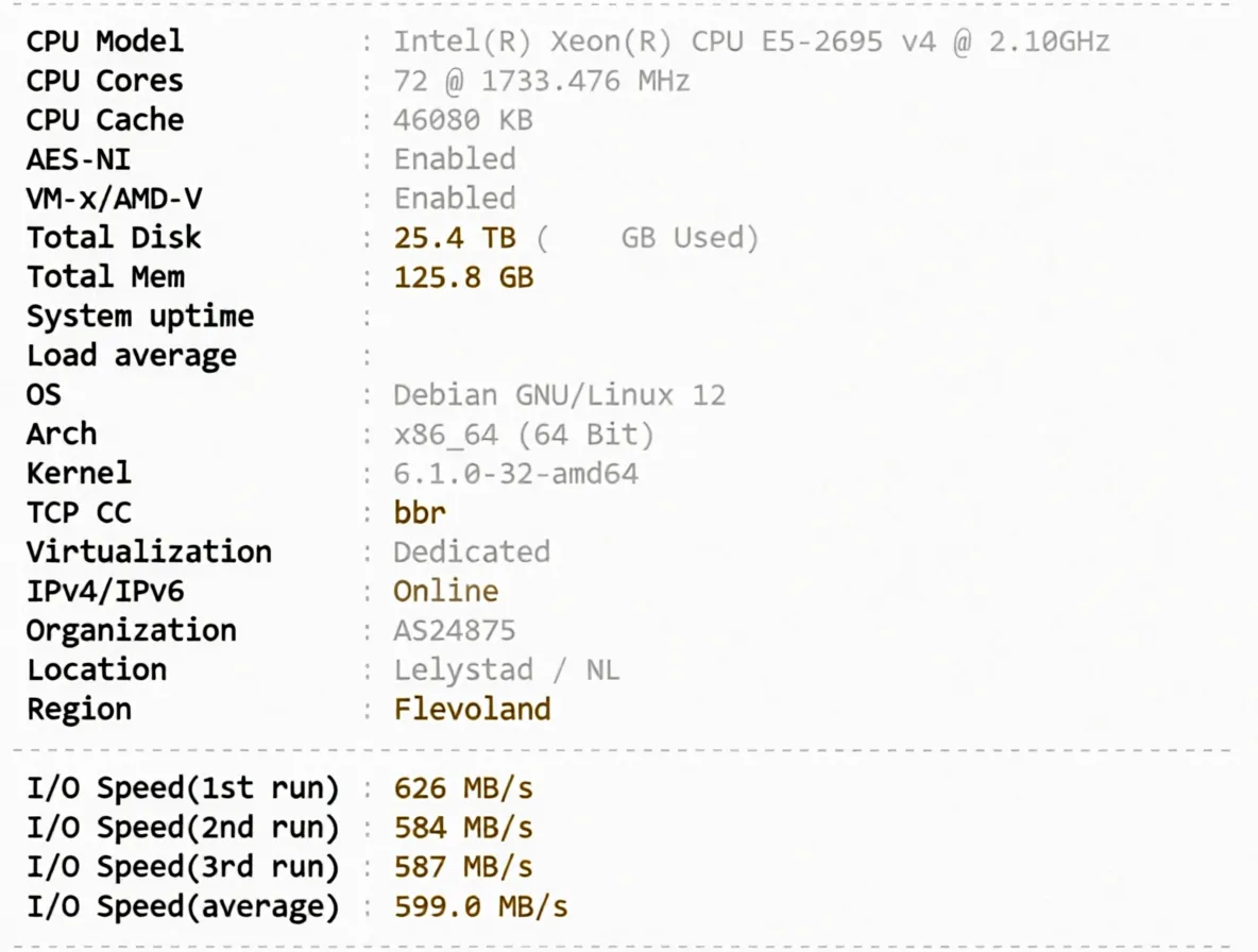Detailed Review of Novoserve Netherlands Server with Direct Connectivity to China via Three Major Networks - Image 2