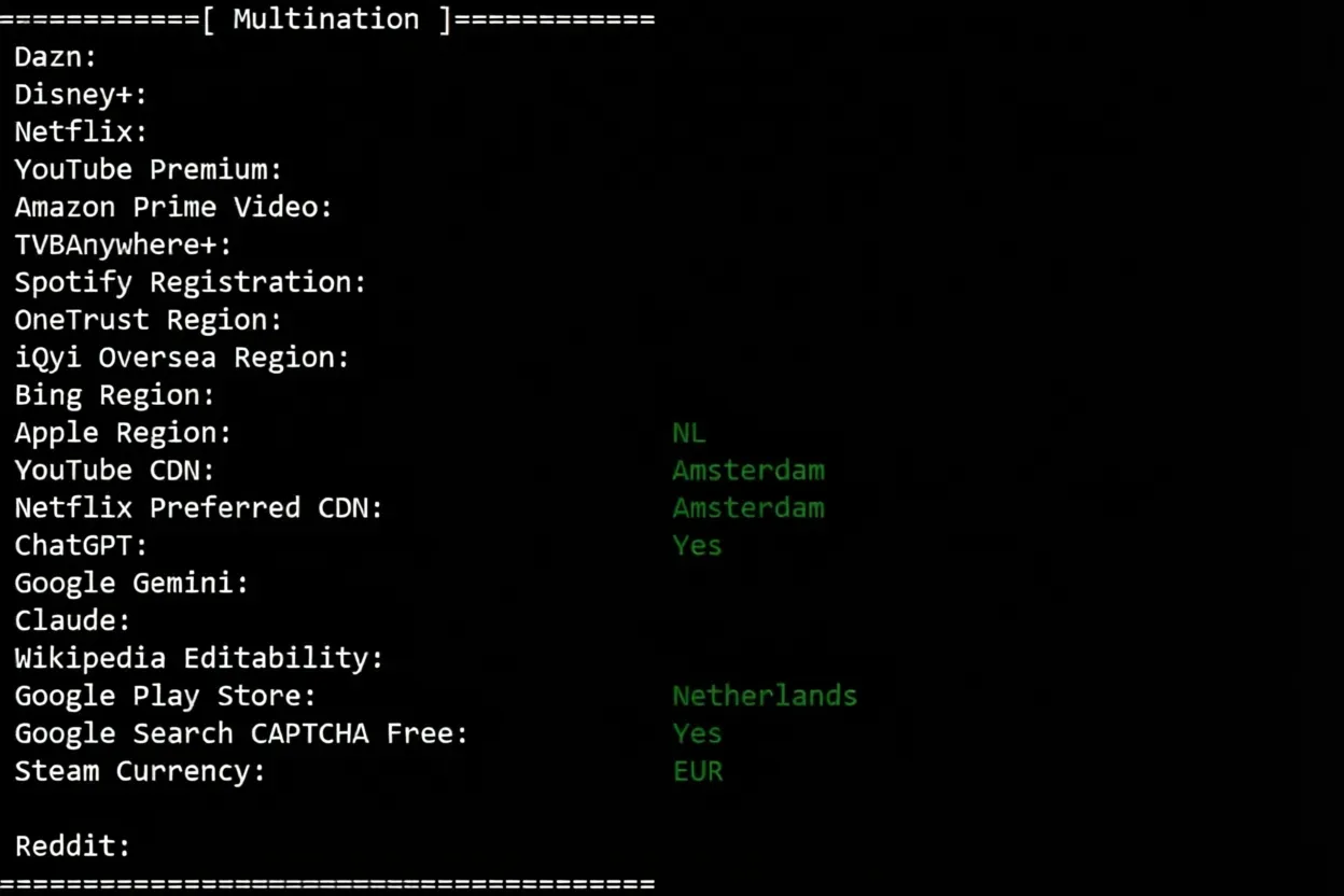 Detailed Review of Novoserve Netherlands Server with Direct Connectivity to China via Three Major Networks - Image 7