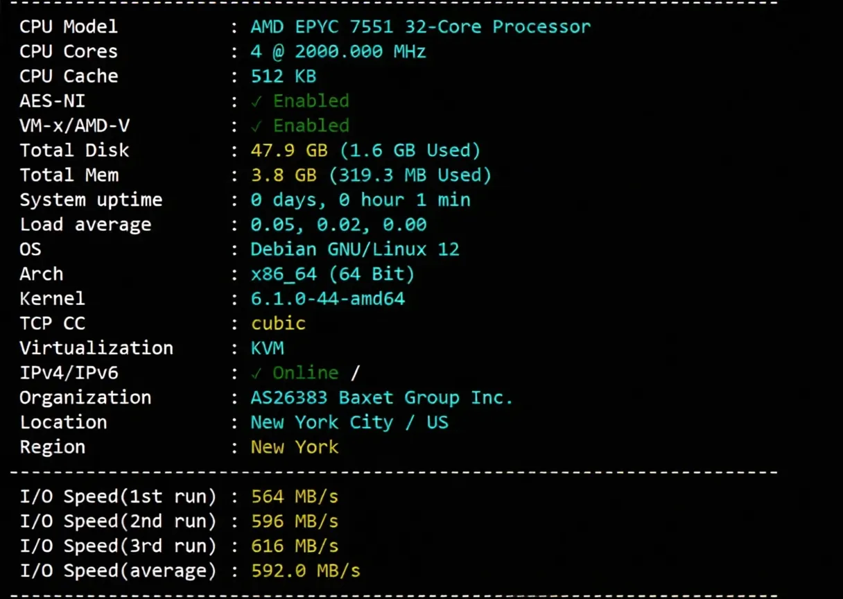 JustHost US New York NYC2 Datacenter VPS Review: Native IP Unlocks TikTok and More - Image 2