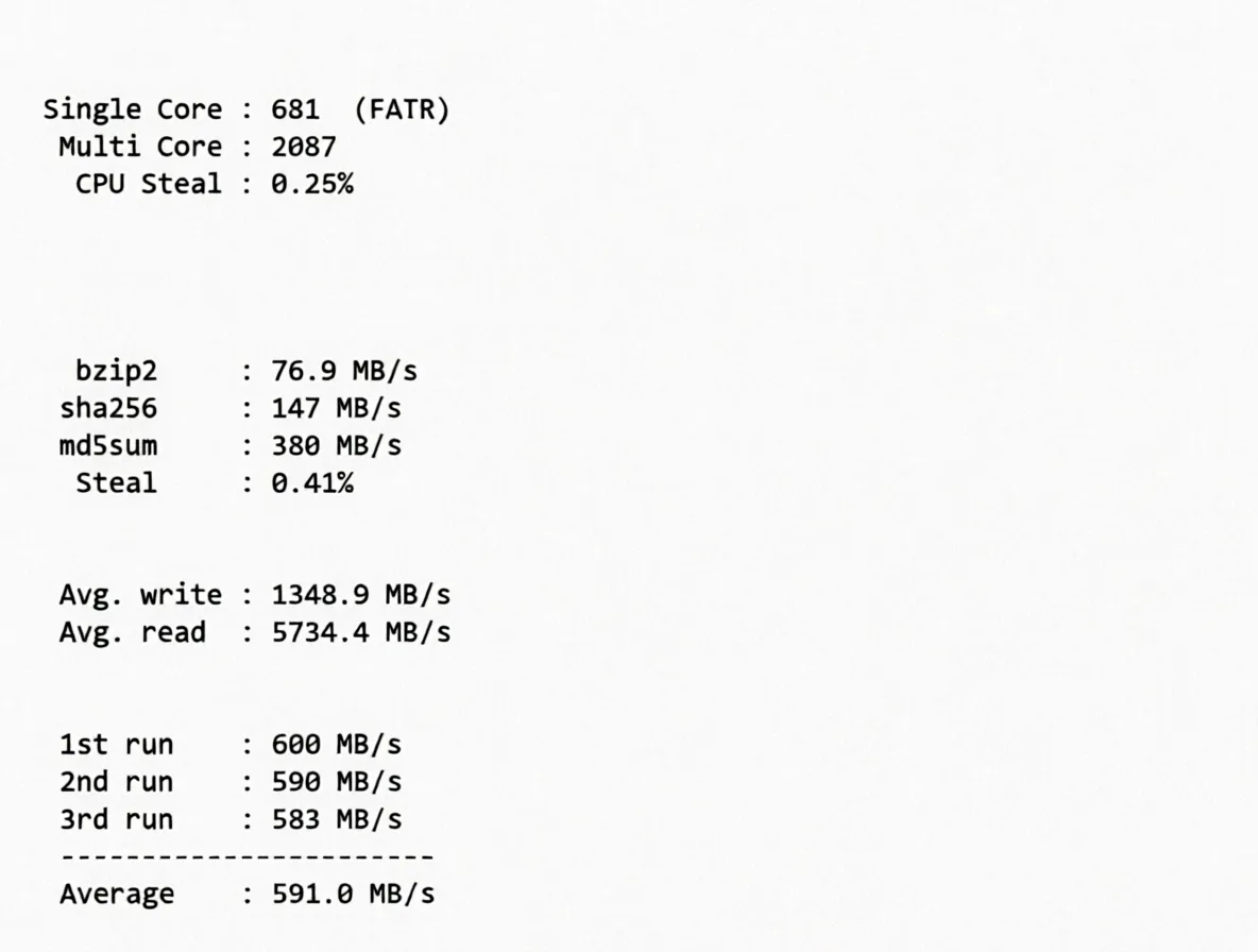 JustHost US New York NYC2 Datacenter VPS Review: Native IP Unlocks TikTok and More - Image 9