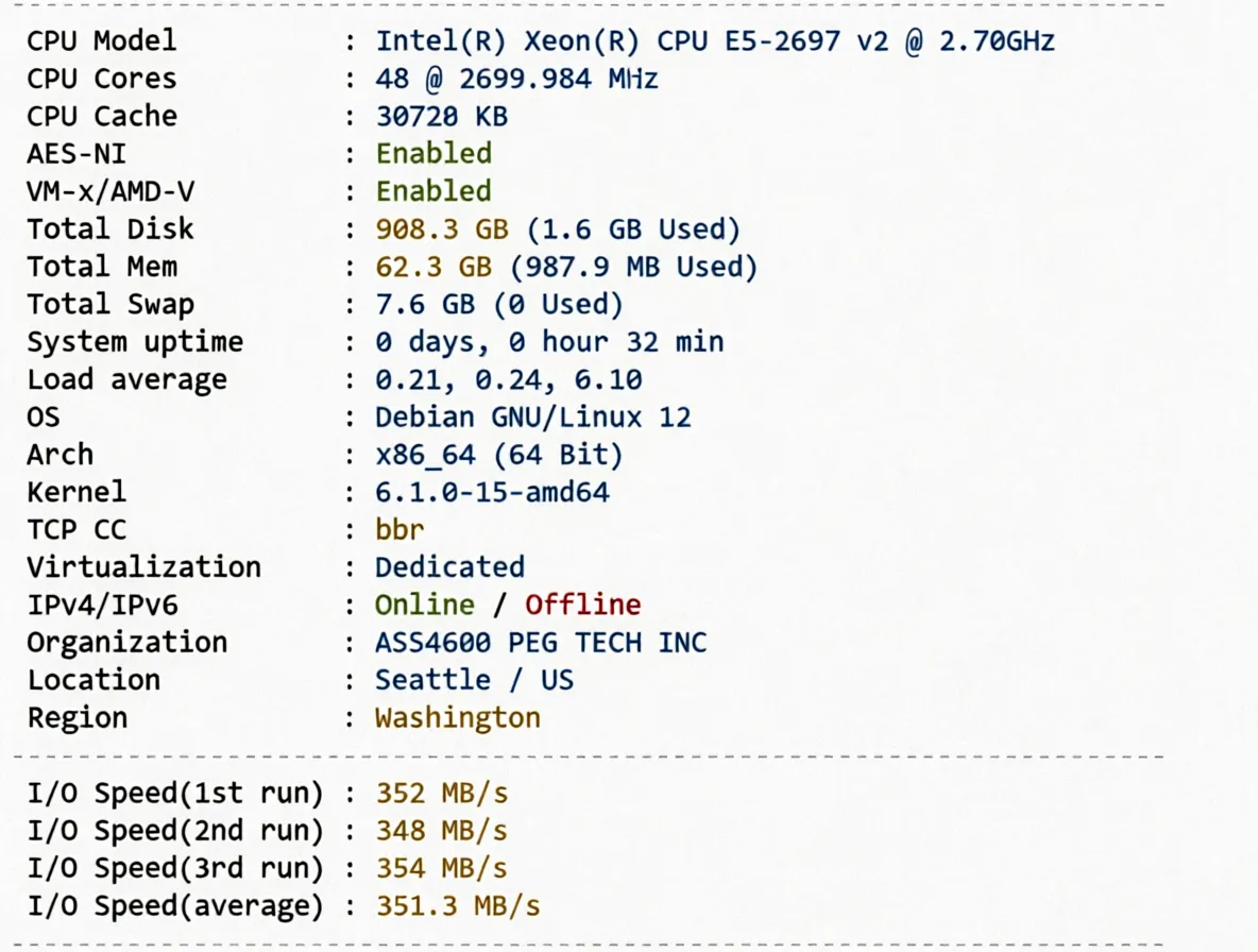 Detailed Review of RakSmart Seattle USA Data Center Mainland China Optimized VIP Route Server - Image 2