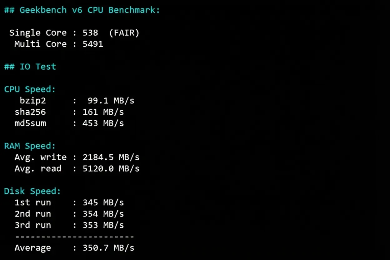 Detailed Review of RakSmart Seattle USA Data Center Mainland China Optimized VIP Route Server - Image 9