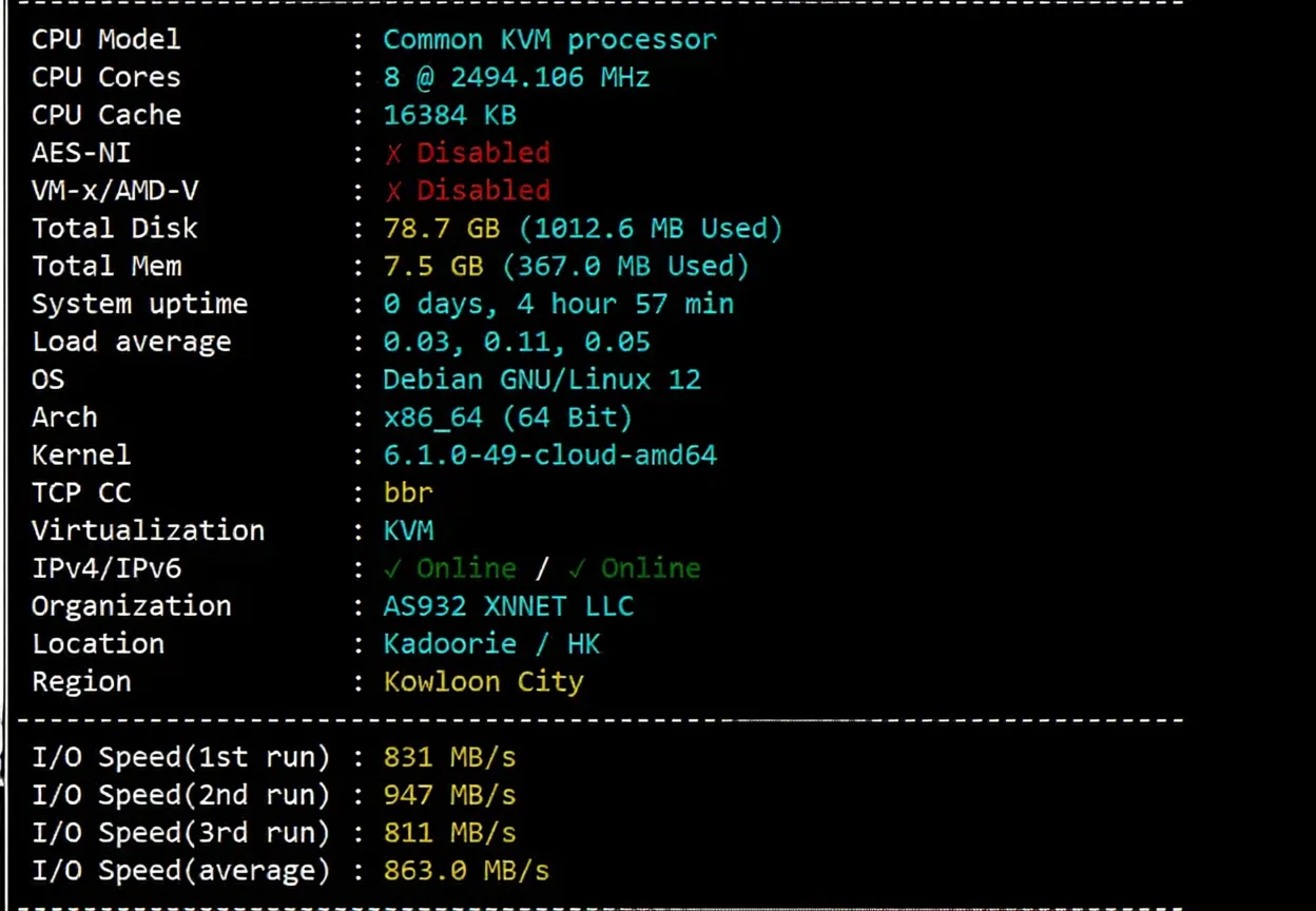 Danyun Hong Kong VPS (BGP Direct Connection - Zone A) Review: 24/7 High-Speed Direct Connection for Three Networks - Image 2