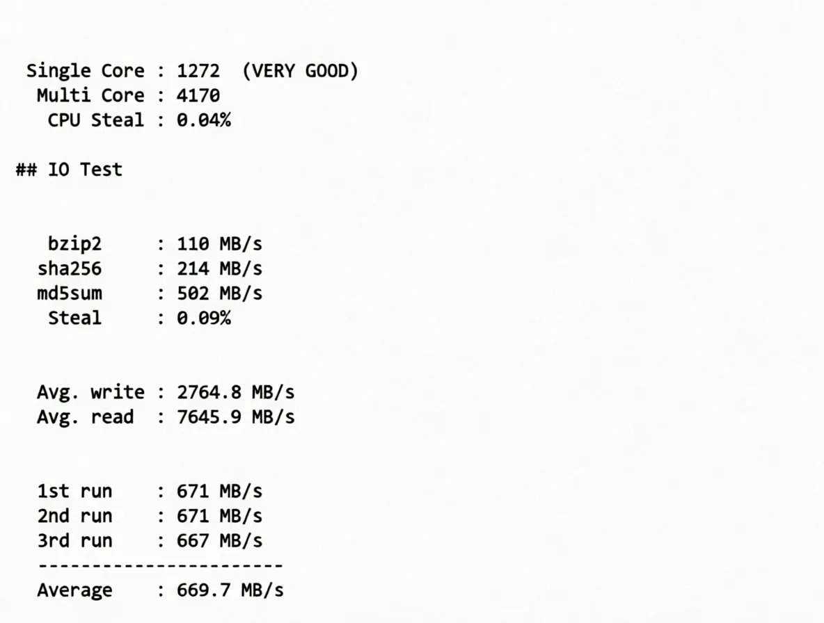 JustHost France PAR1 Data Center VPS Review: TikTok Unblocking and Direct Return Routes - Image 10