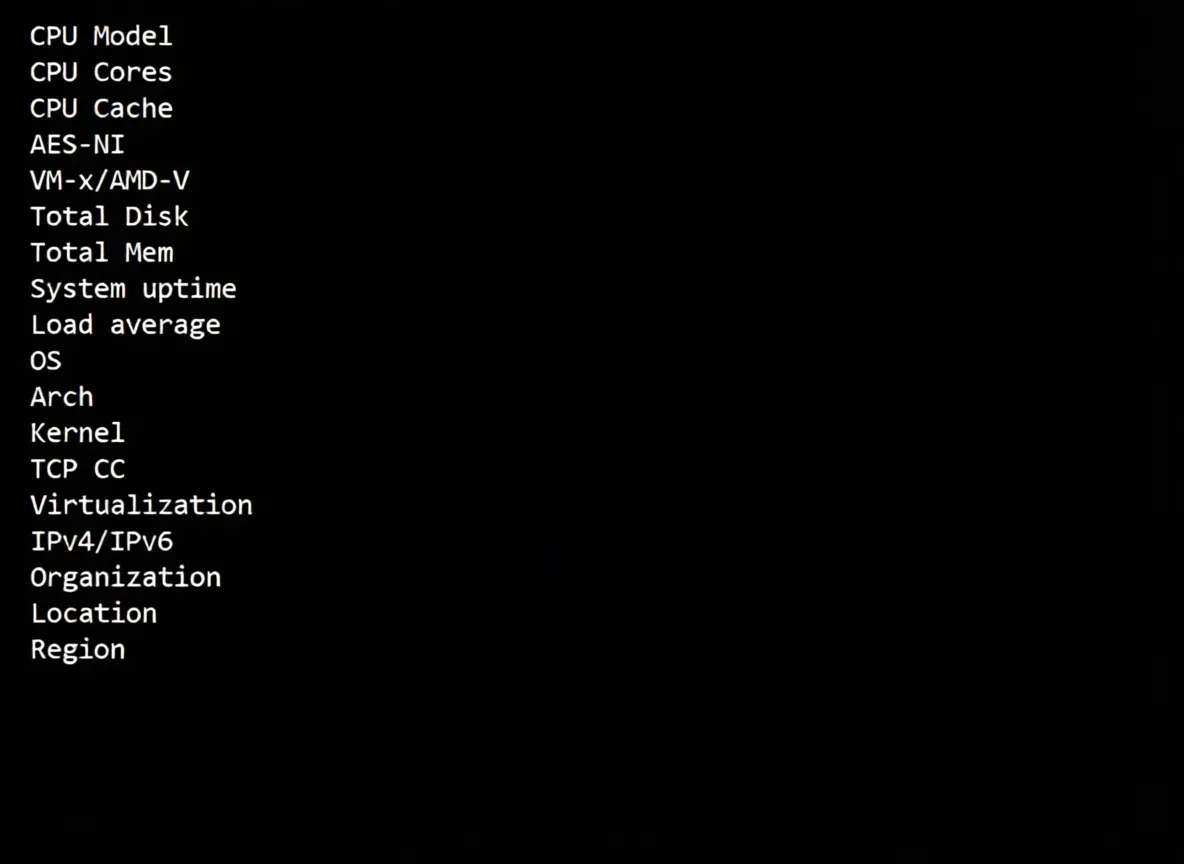 tmhhost US AS4837 Dual ISP VPS Review: Unlocks TikTok/ChatGPT, Good Speed Back to China - Image 2