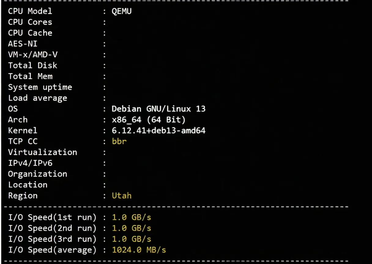 DediOne Kansas VPS Review: Triple-Network Direct Connection, Native IP Unlocks TikTok and More - Image 2