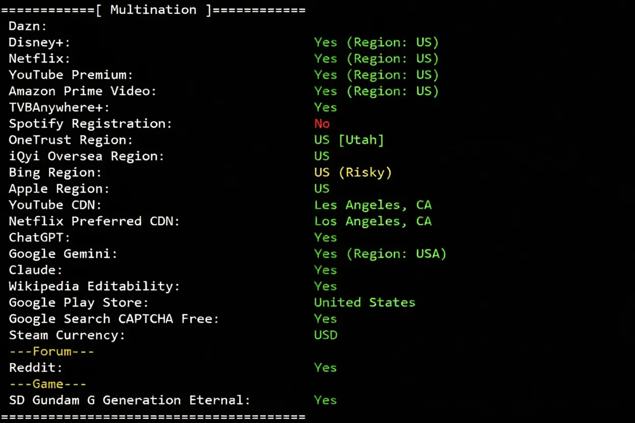 DediOne Kansas VPS Review: Triple-Network Direct Connection, Native IP Unlocks TikTok and More - Image 6