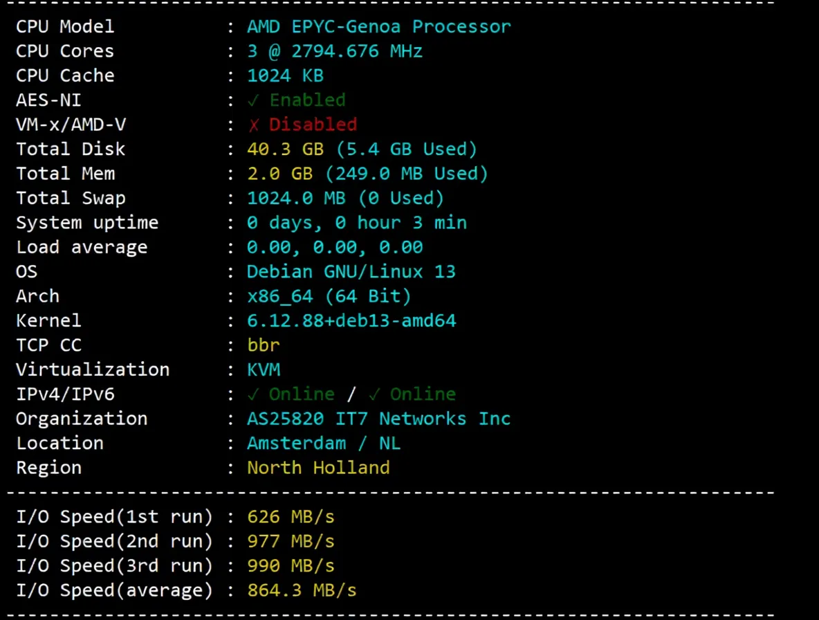 BandwagonHost Netherlands VPS-EUNL_2 Review: Unlocks TikTok/AI, China Telecom Network Requires Relay - Image 3