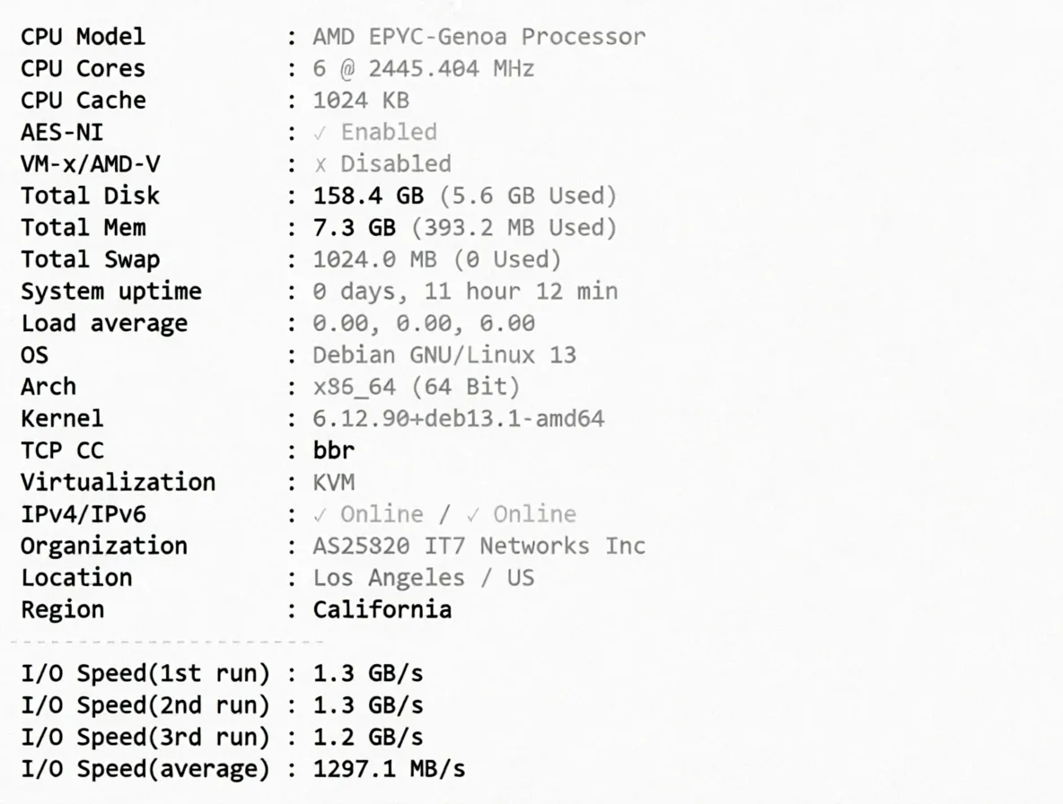 BandwagonHost Los Angeles USCA_9 VPS Review: Unblocks TikTok, Excellent Network and Performance - Image 3