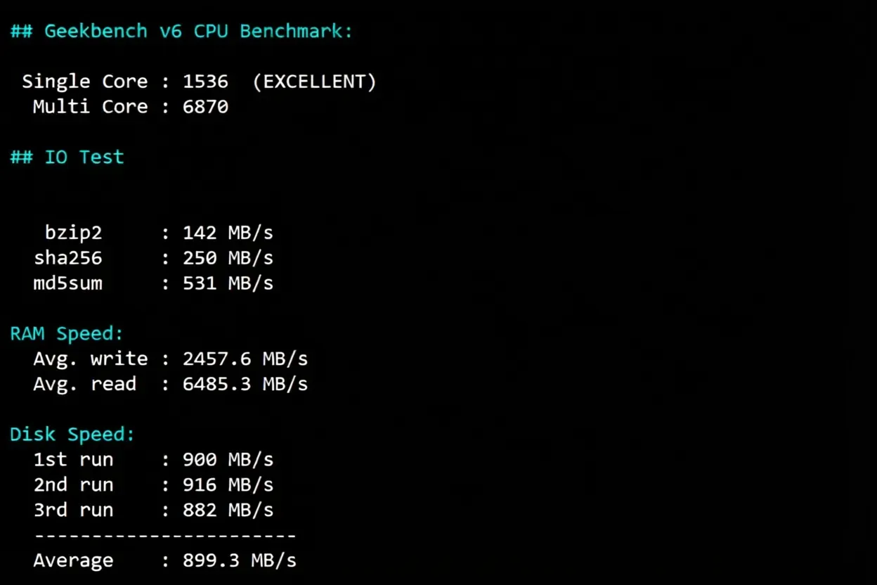 BandwagonHost Los Angeles USCA_9 VPS Review: Unblocks TikTok, Excellent Network and Performance - Image 10